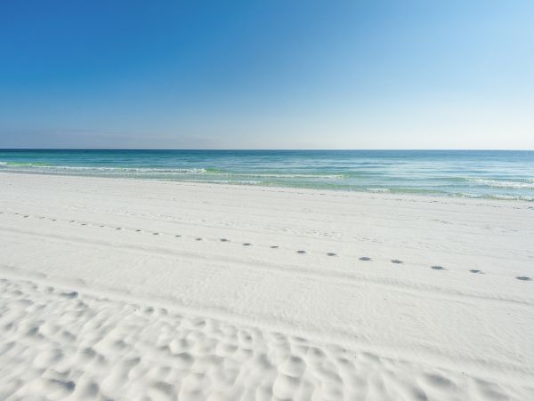 Beaches Of South Walton Home 1007809