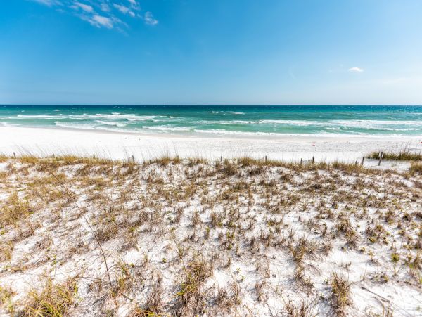 Beaches Of South Walton Condo 1007831