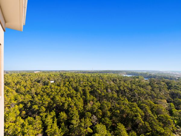 Beaches Of South Walton Condo 1007834