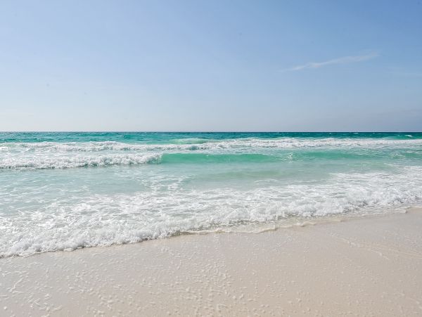 Beaches Of South Walton Condo 1007836