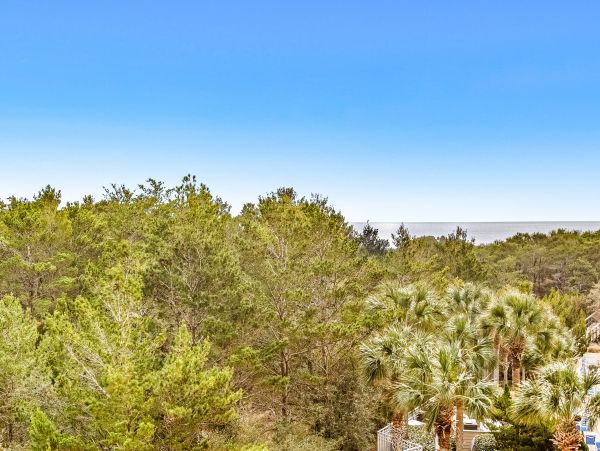 Beaches Of South Walton Condo 1007839