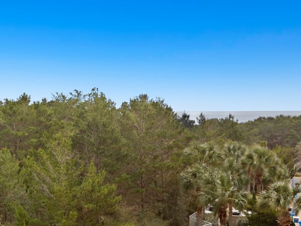 Beaches Of South Walton Home 1007840