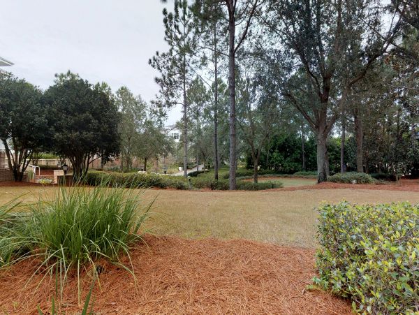 Beaches Of South Walton Condo 1007851