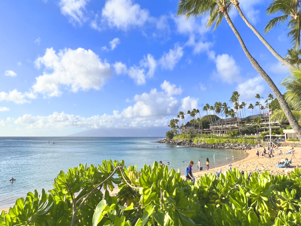 Napili Bay Luxury Town Home