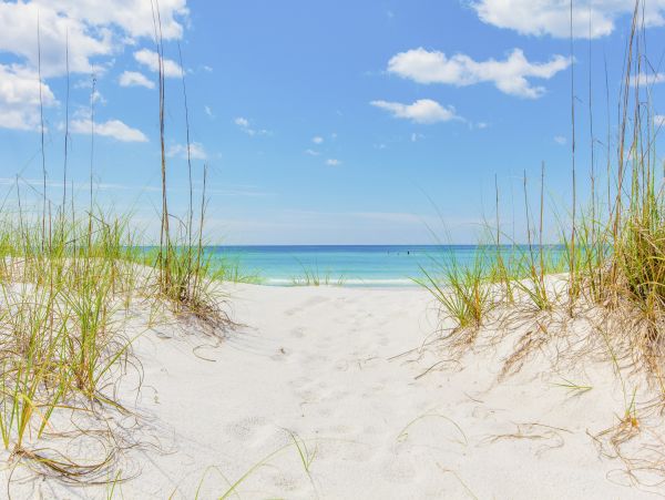 Beaches Of South Walton Condo 1007873