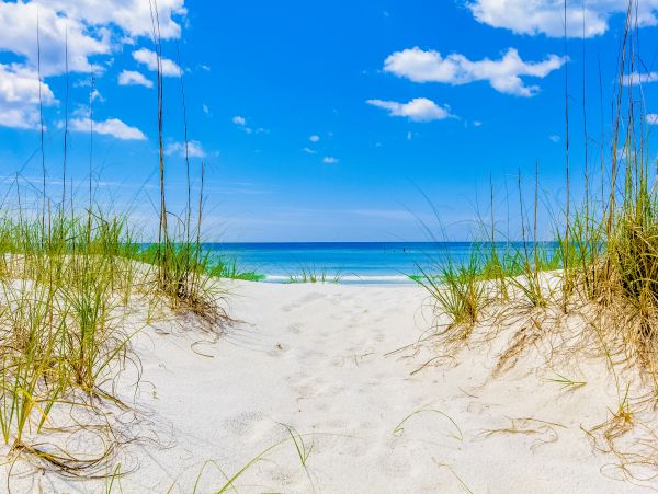 Beaches Of South Walton Condo 1007874