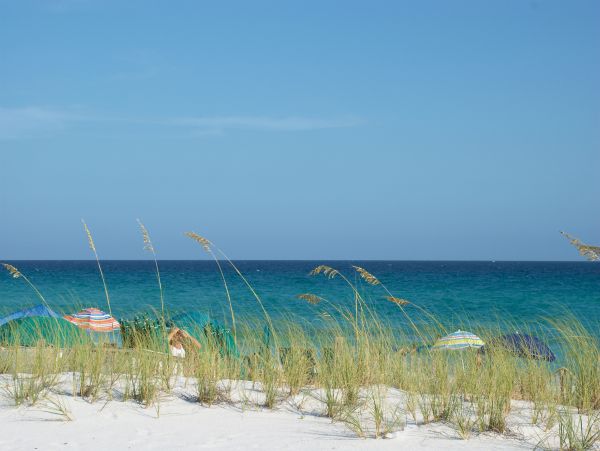 Beaches Of South Walton Home 1007879