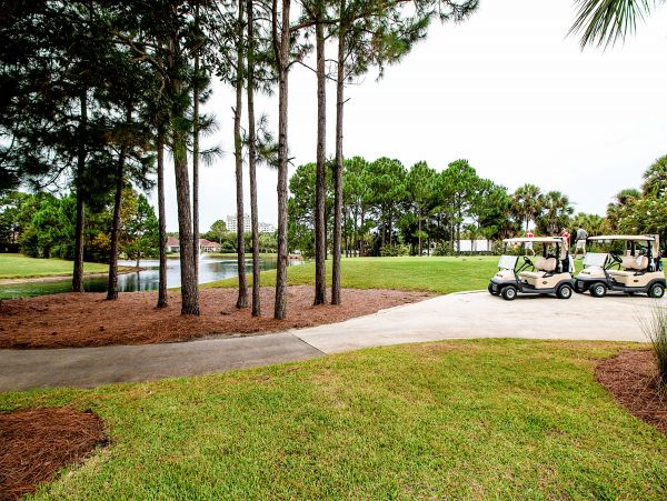 Beaches Of South Walton Home 1007880