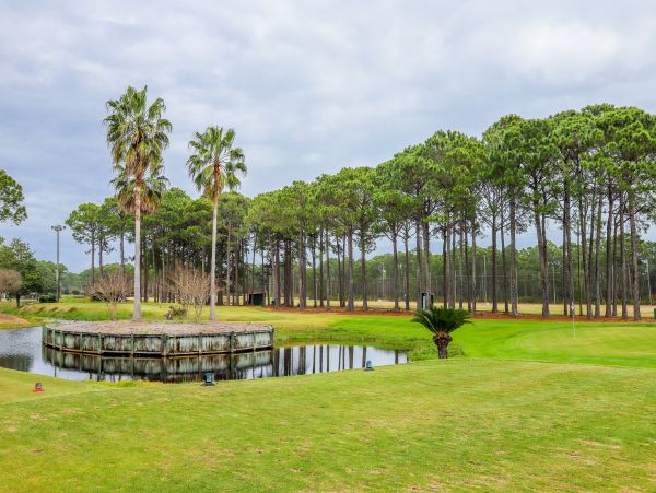 Beaches Of South Walton Home 1007888