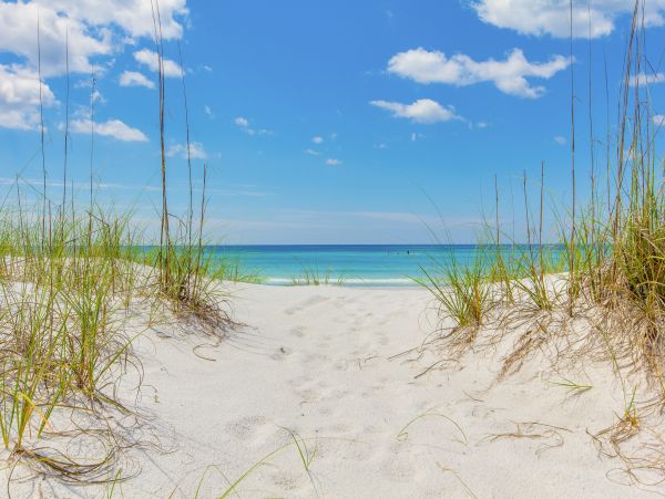 Beaches Of South Walton Condo 1007892