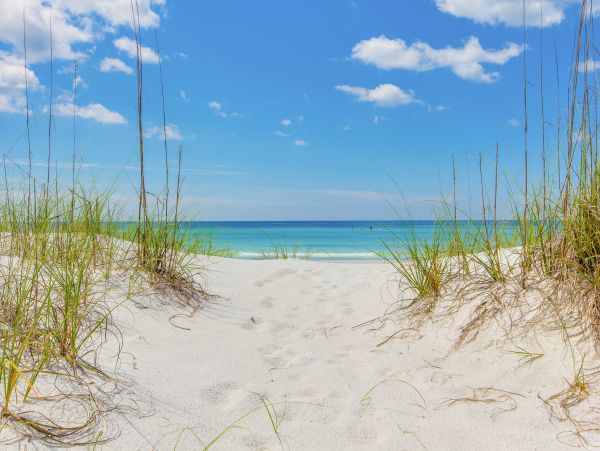 Beaches Of South Walton Condo 1007894