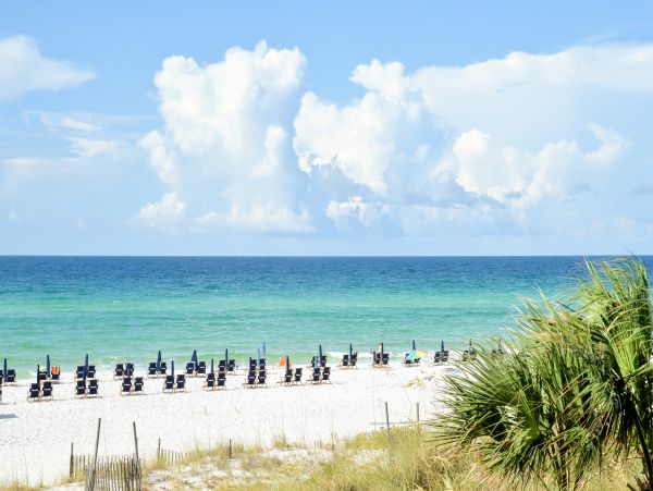 Beaches Of South Walton Condo 1007897