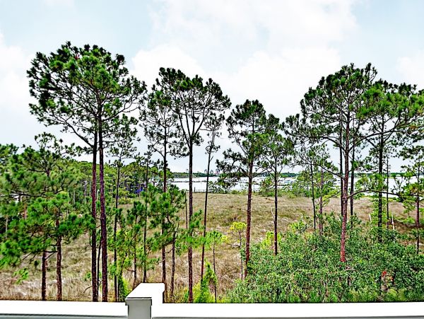 Beaches Of South Walton Condo 1007901