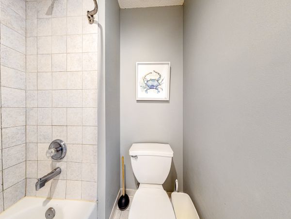 Beaches Of South Walton Home 1007903