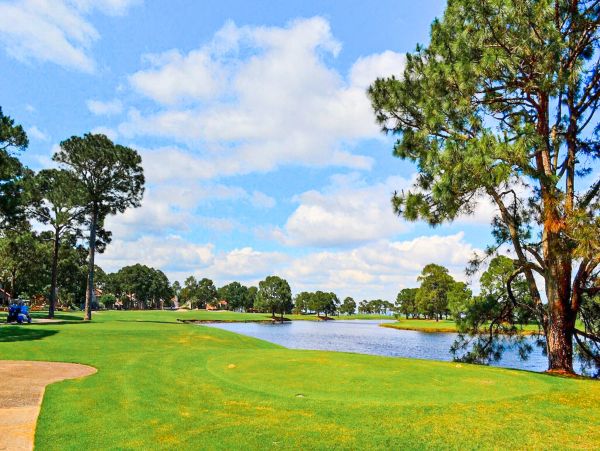 Beaches Of South Walton Home 1007922