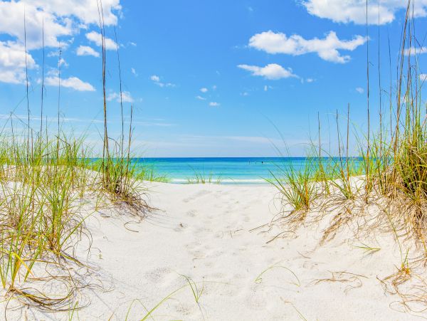 Beaches Of South Walton Home 1007926
