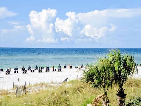 Beaches Of South Walton Condo 1007934