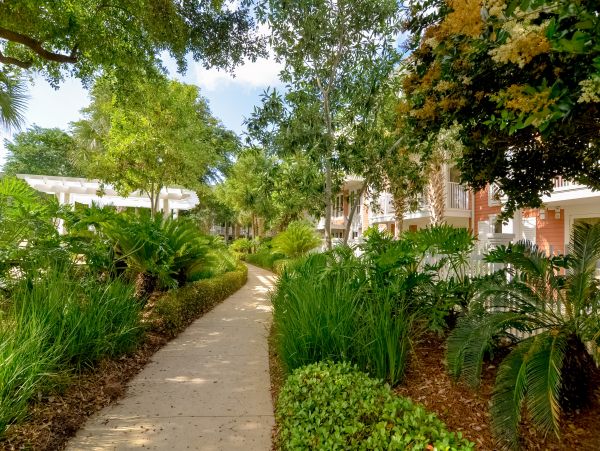 Beaches Of South Walton Condo 1007934