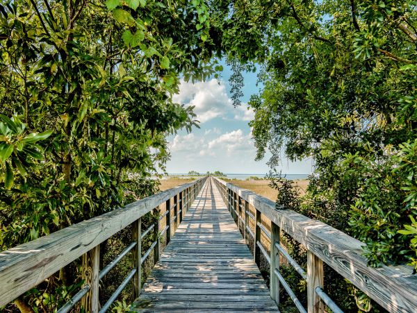 Beaches Of South Walton Home 1007936