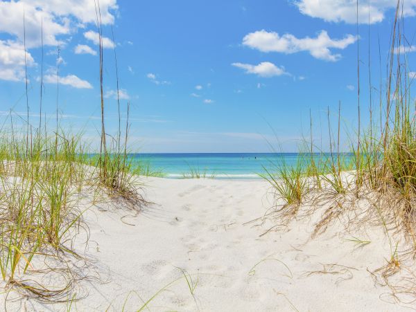 Beaches Of South Walton Condo 1007946