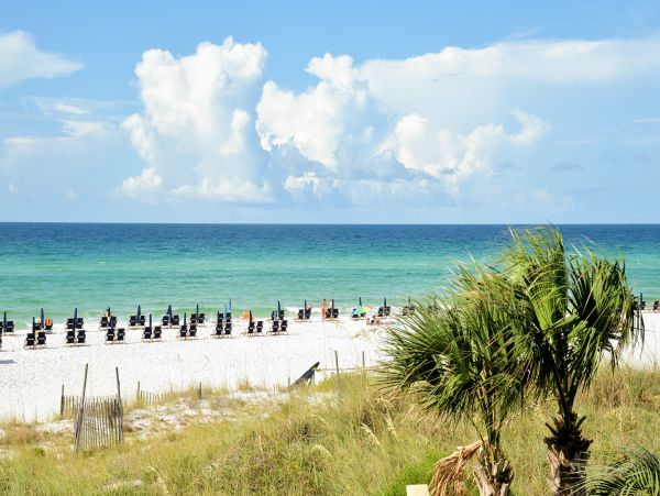 Beaches Of South Walton Condo 1007949