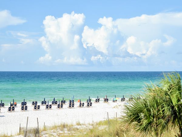 Beaches Of South Walton Condo 1007954