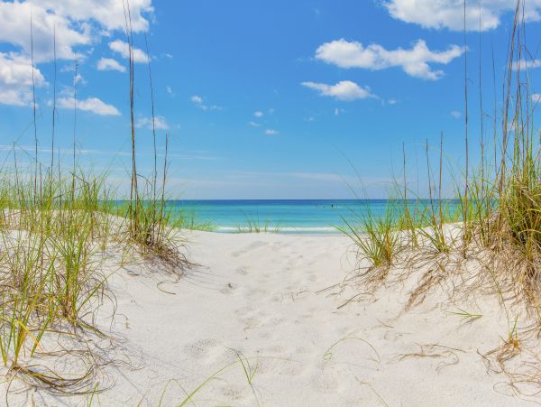 Beaches Of South Walton Condo 1007961