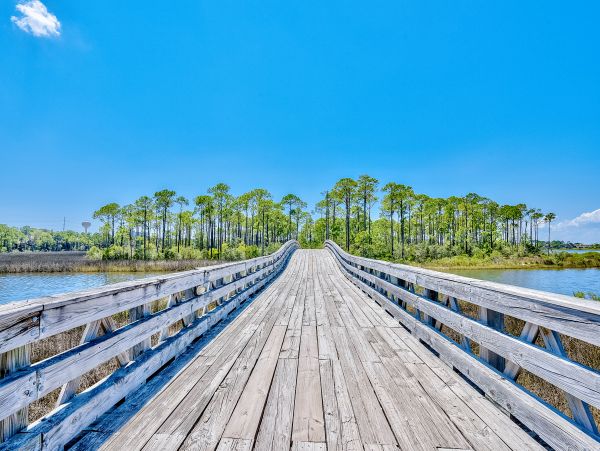 Beaches Of South Walton Home 1007981