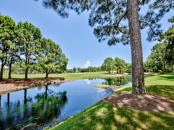 Beaches Of South Walton Home 1007981