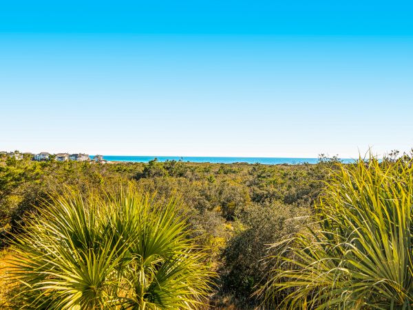 Beaches Of South Walton Home 1008010