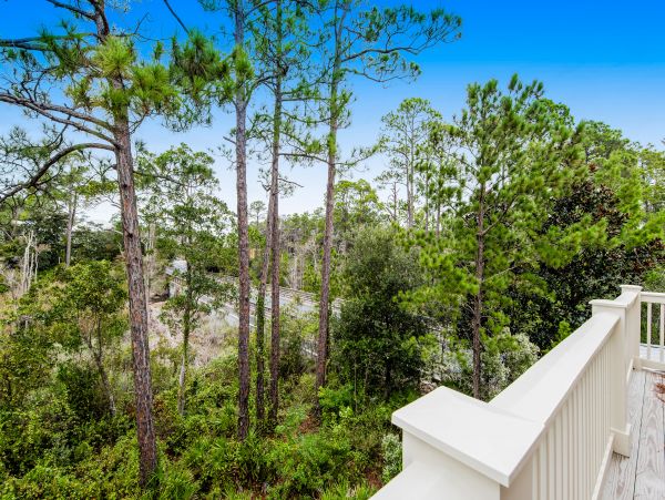 Beaches Of South Walton Home 1008015
