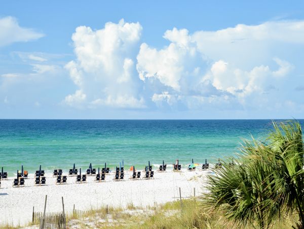 Beaches Of South Walton Home 1008027