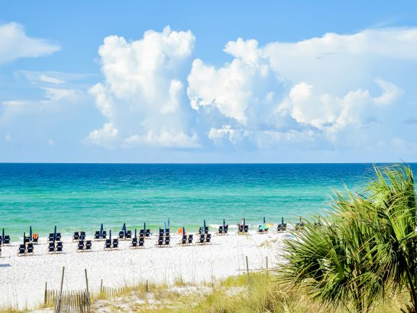 Beaches Of South Walton Home 1008033