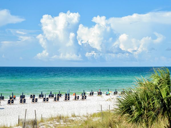 Beaches Of South Walton Home 1008036