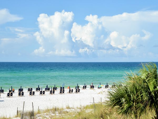 Beaches Of South Walton Home 1008038