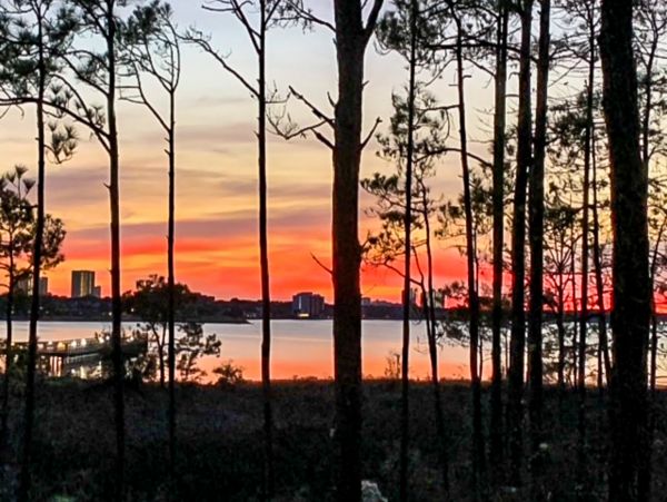 Beaches Of South Walton Home 1008044