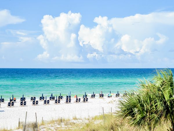 Beaches Of South Walton Home 1008045