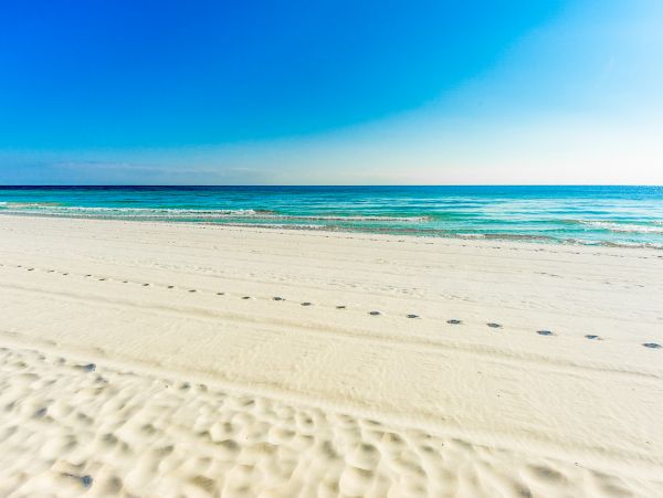 Beaches Of South Walton Condo 1008053