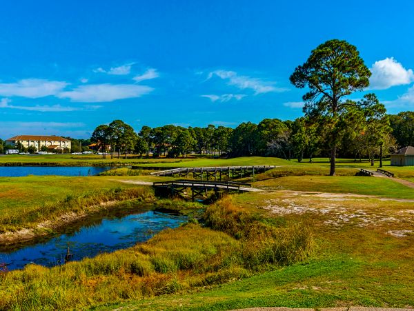 Beaches Of South Walton Condo 1008053
