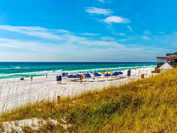 Beaches Of South Walton Condo 1008053