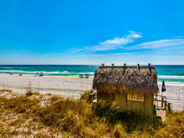 Beaches Of South Walton Condo 1008053