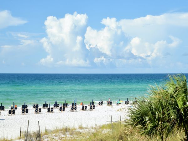 Beaches Of South Walton Home 1008057