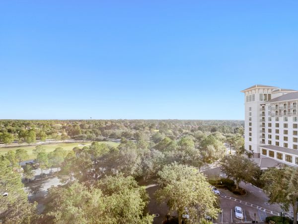 Beaches Of South Walton Condo 1008060