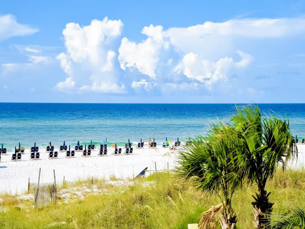 Beaches Of South Walton Home 1008064