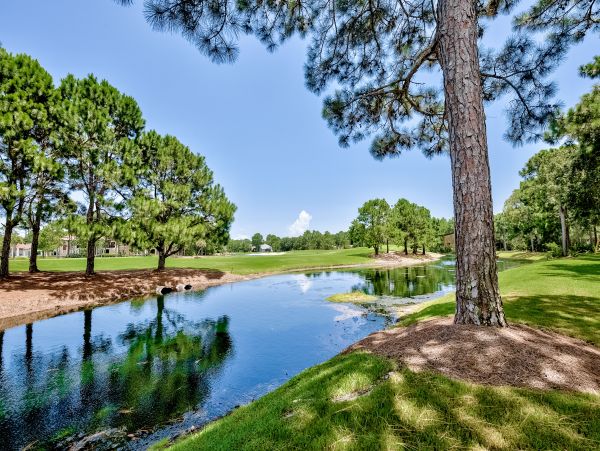 Beaches Of South Walton Home 1008071