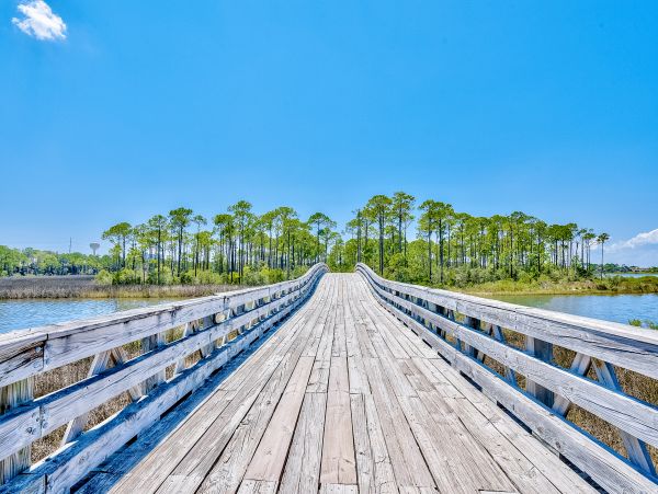 Beaches Of South Walton Home 1008071
