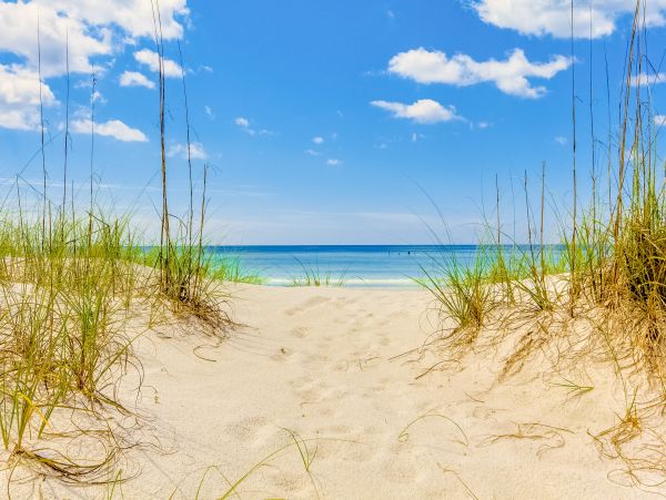 Beaches Of South Walton Condo 1008074