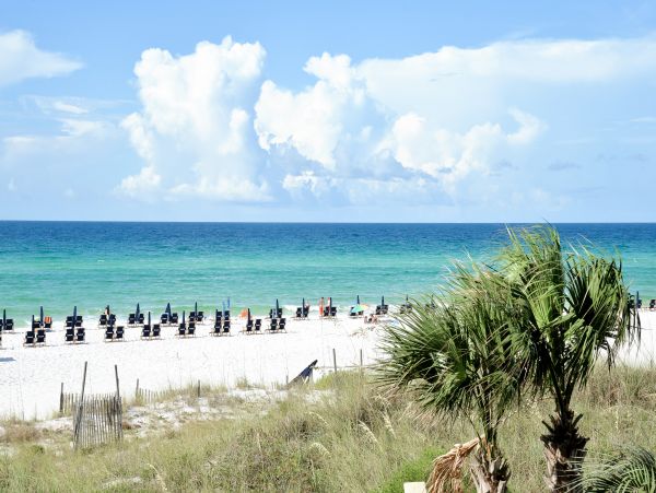 Beaches Of South Walton Condo 1008076