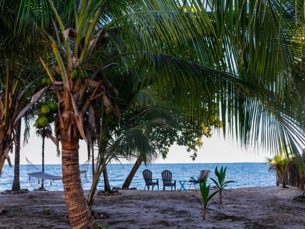 Ambergris Caye Home 1008097
