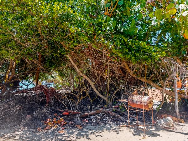 Ambergris Caye Home 1008107